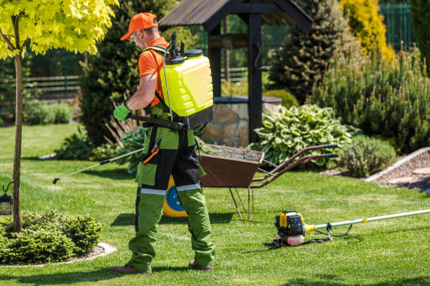 Best Fumigation Services  in Southgate, MI